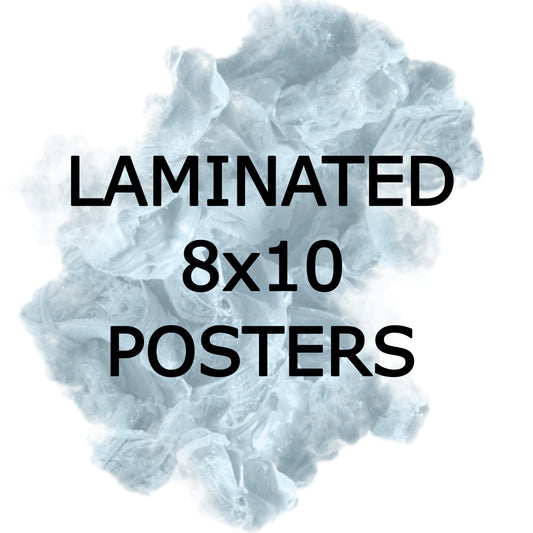LAMINATED 8X10 POSTERS