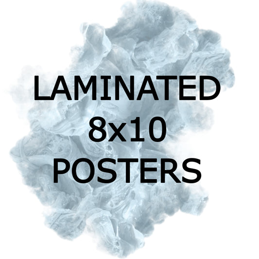 POSTERS